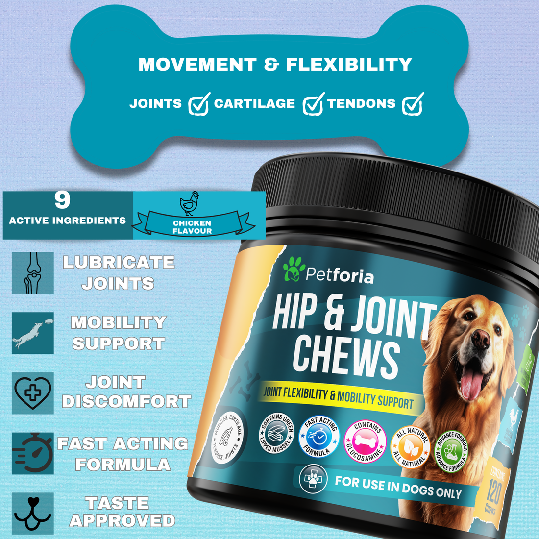 Hip & Joint Chews for Dogs