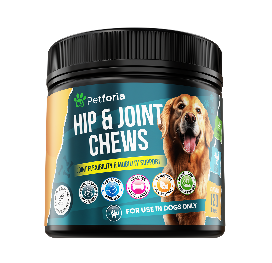 Hip & Joint Chews for Dogs