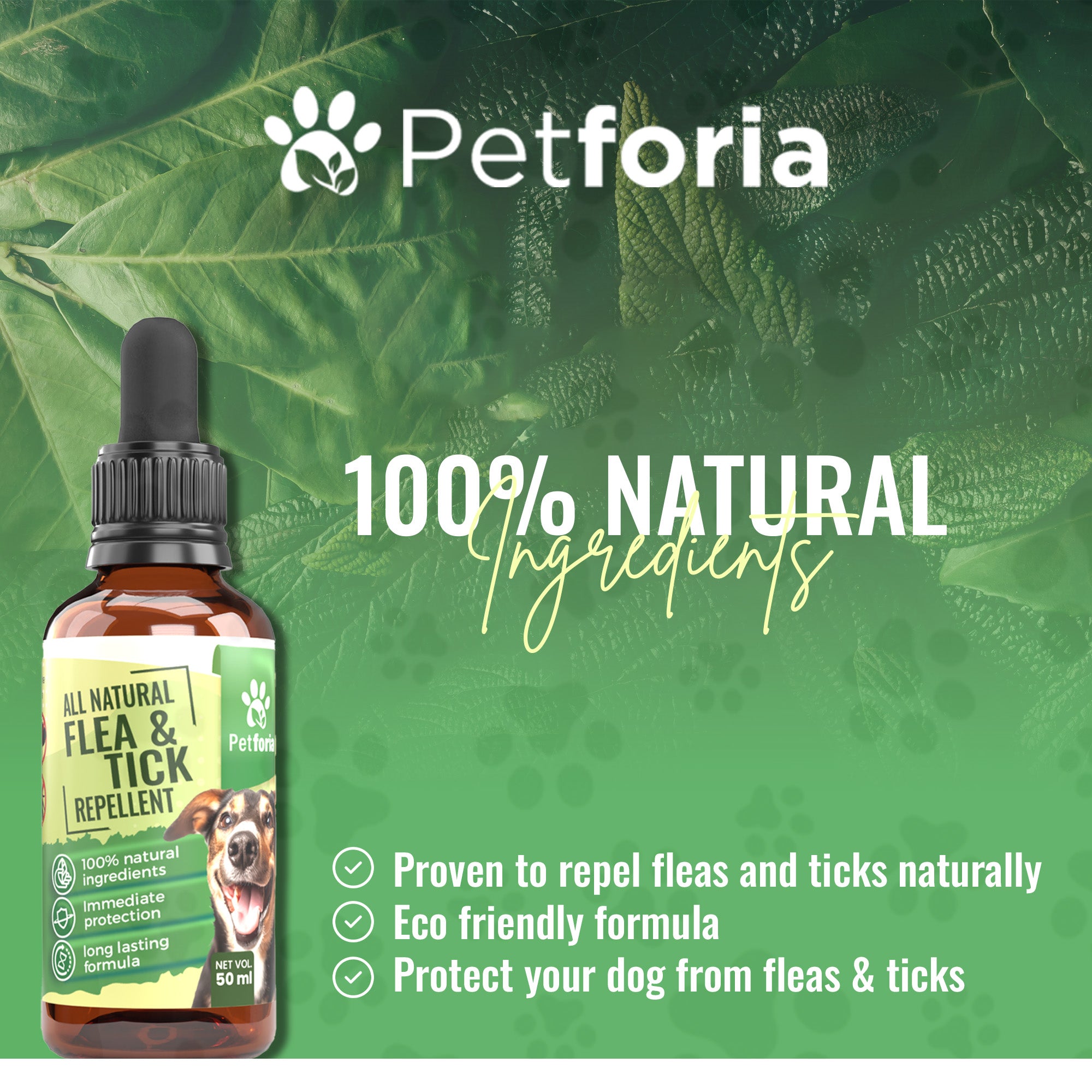 All Natural Flea & Tick Repellent
