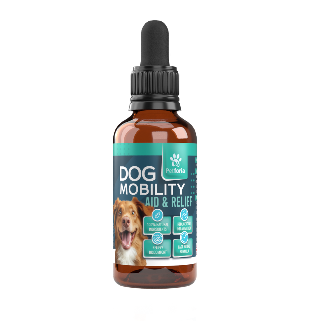 Dog Mobility Aid & Relief