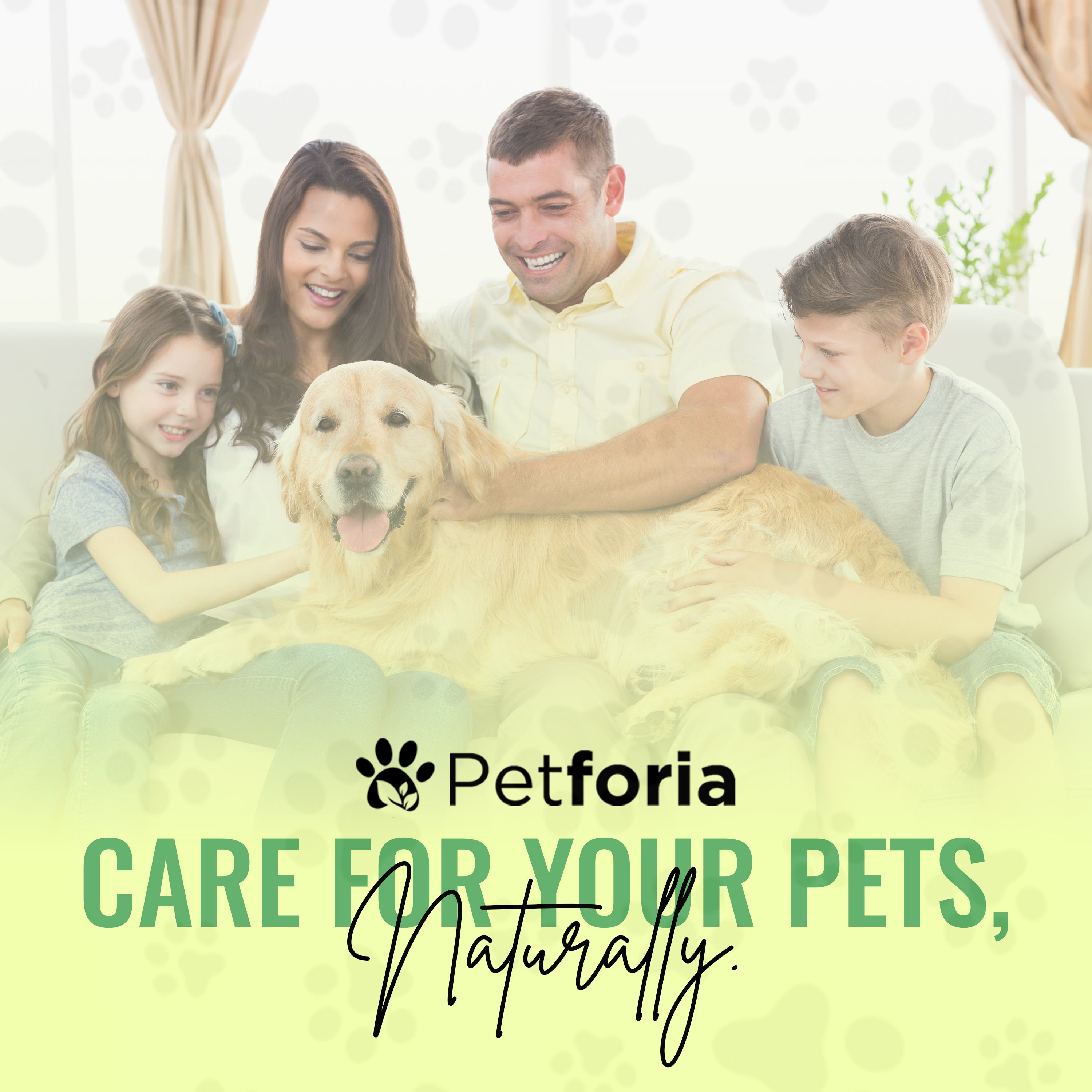 All Natural Flea & Tick Repellent