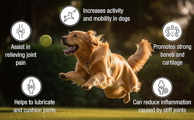 Petforia Joint Aid & Relief for Dogs