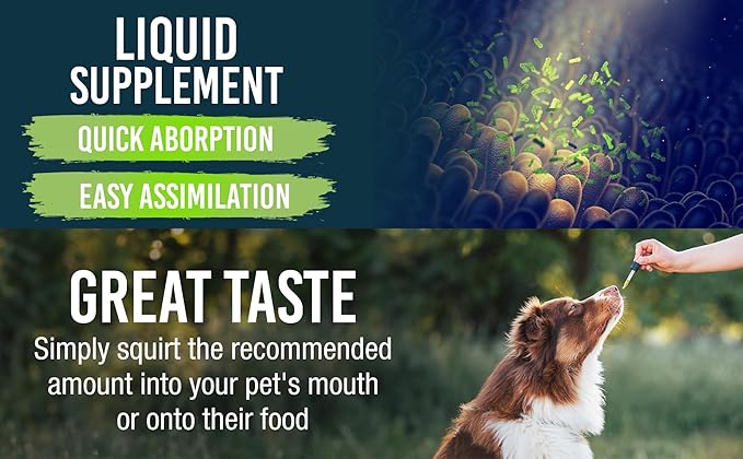 Petforia Joint Aid & Relief for Dogs