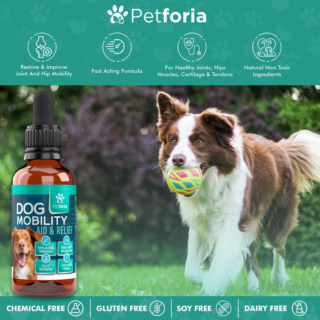 Dog Mobility Aid & Relief