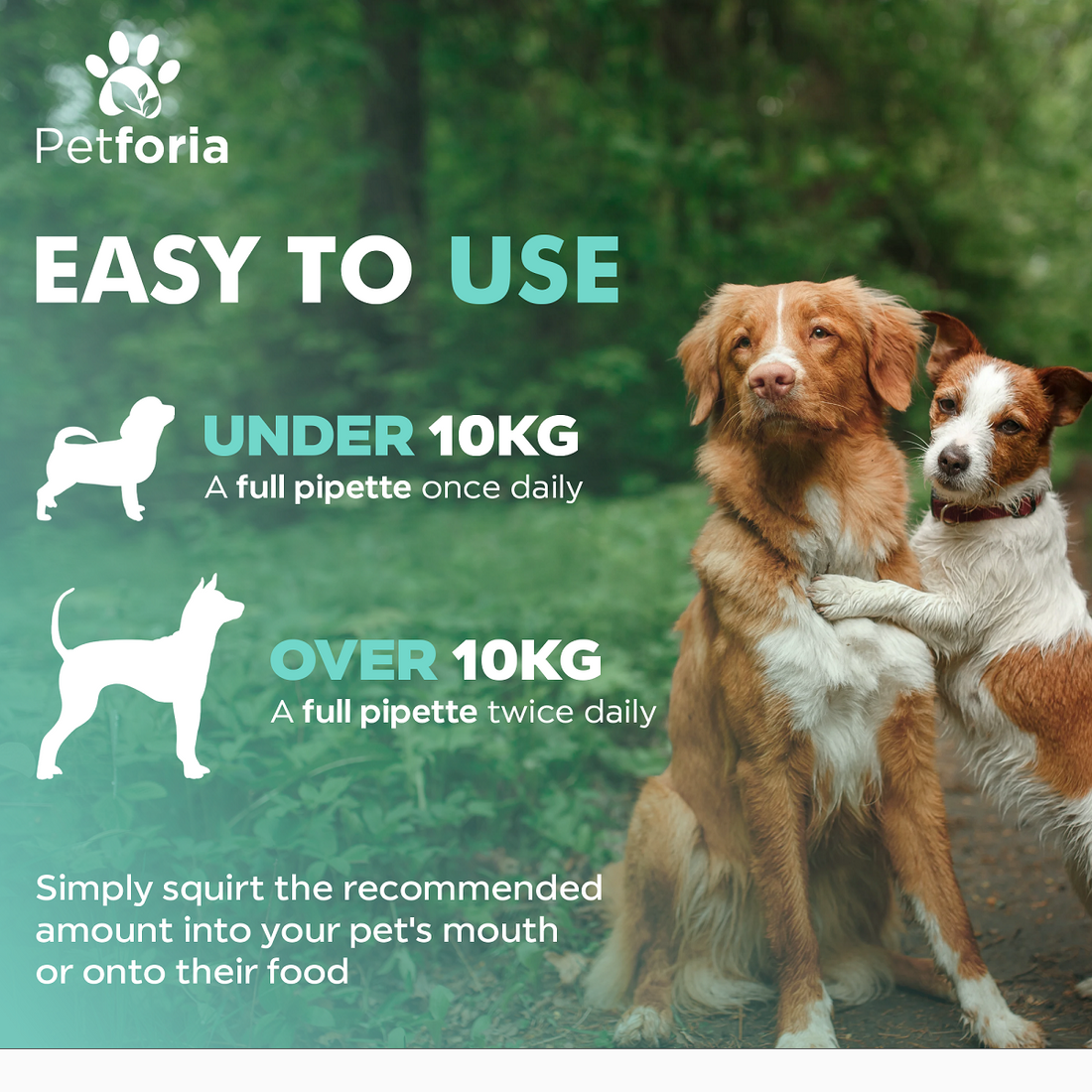 Dog Mobility Aid & Relief