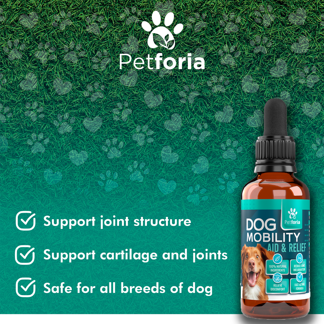 Dog Mobility Aid & Relief