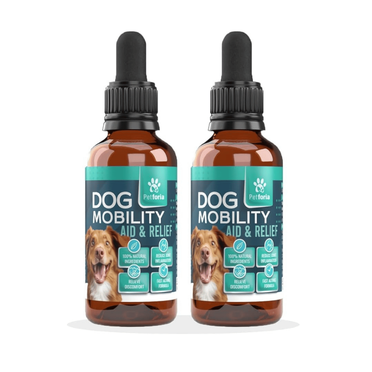 Dog Mobiltiy Aid & Relief