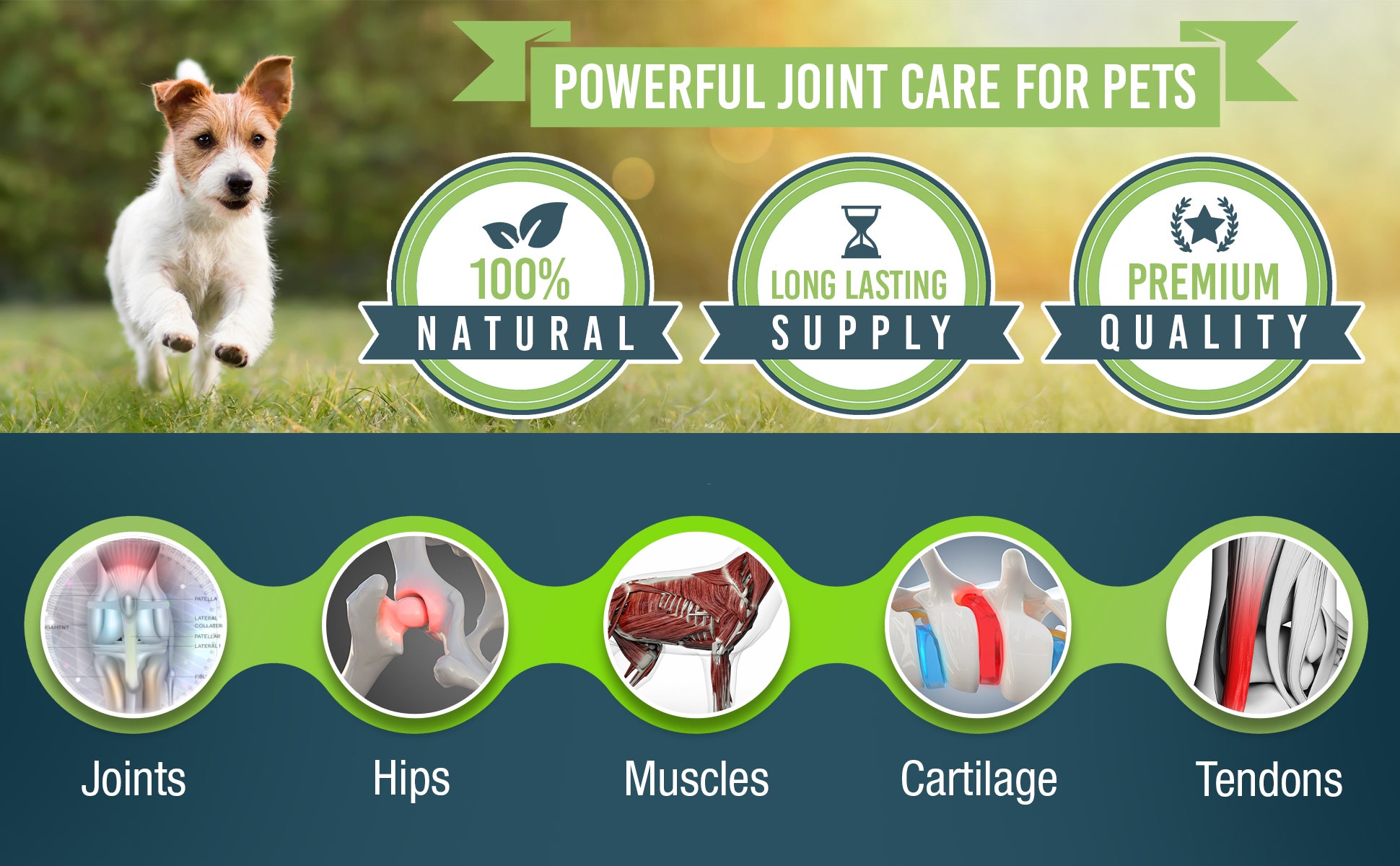 Pet Joint Care Aid & Relief