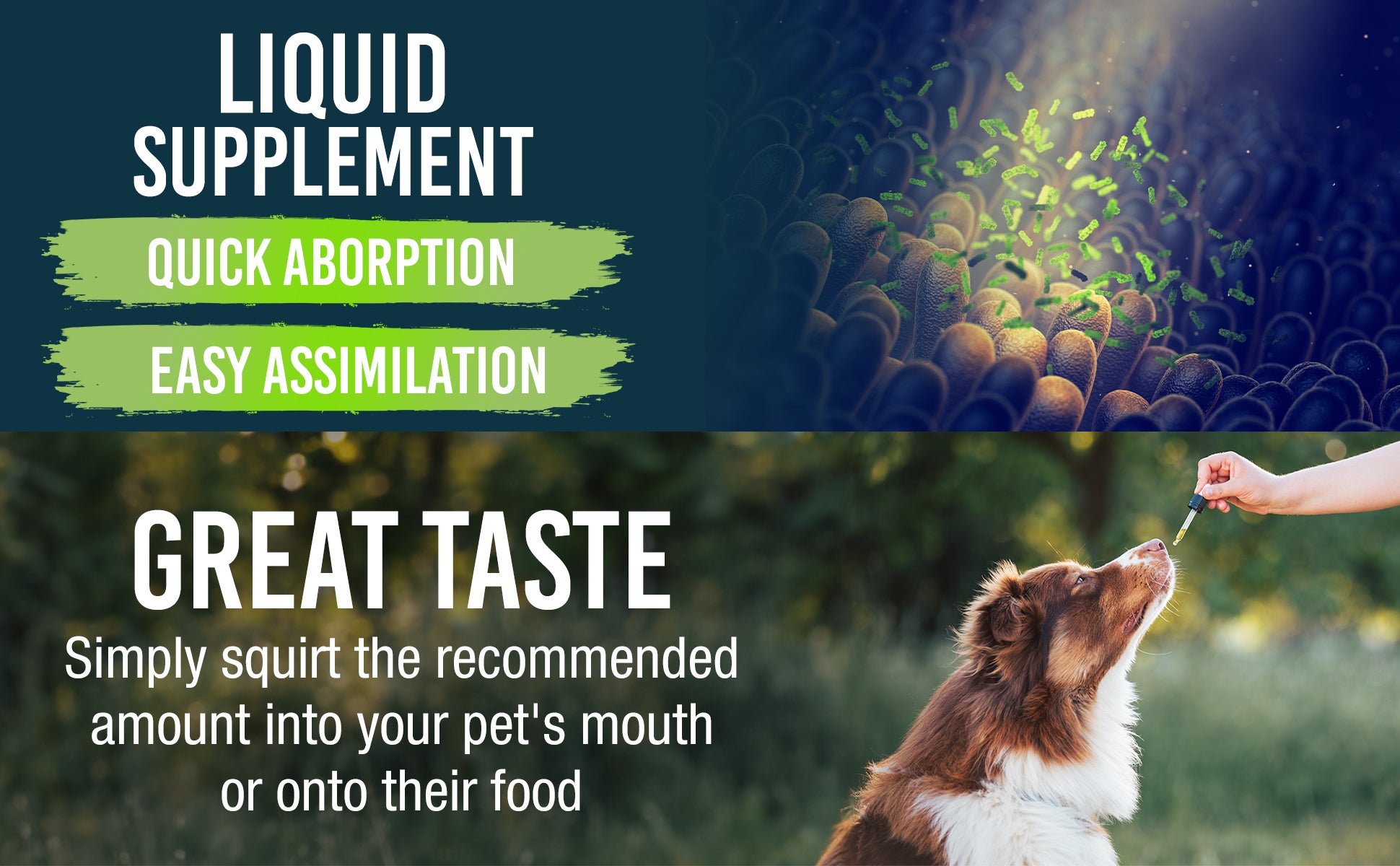 Pet Joint Care Aid & Relief